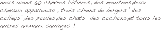 nous avons 60 chèvres laitières, des moutons,deux chevaux appalloosa , trois chiens de bergers “des colleys”,des poules,des chats  des cochons,et tous les autres animaux sauvages !